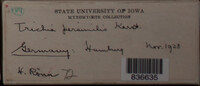 Image Associated With the Occurence